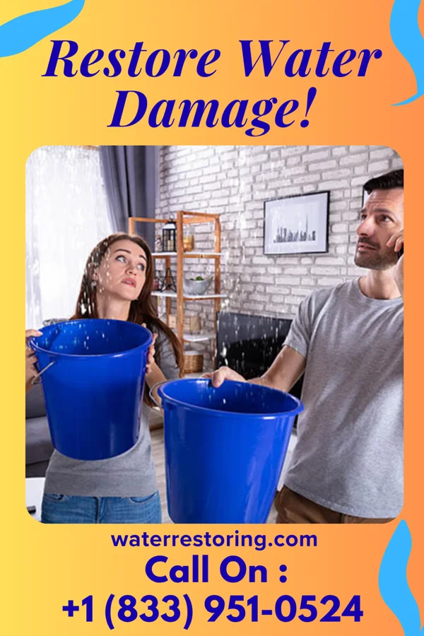 water restoration Hawk Water Mitigation Experts Arlington Heights