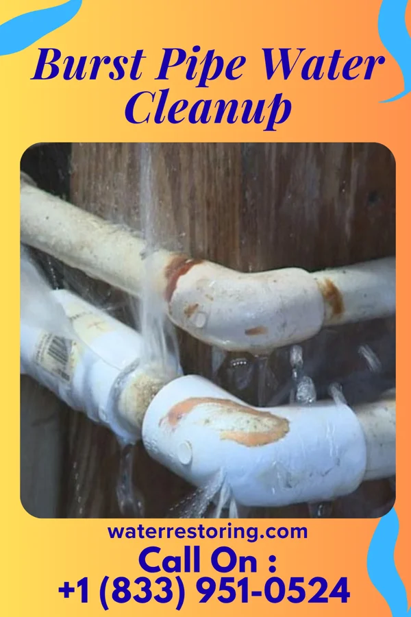 Burst Pipe Water Cleanup in Arlington Heights, PA