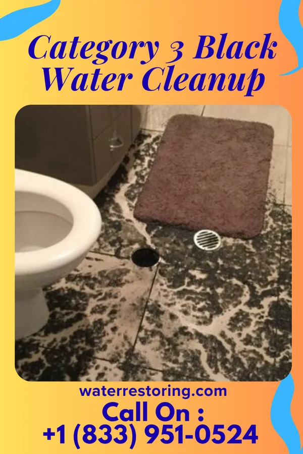 Category 3 Black Water Cleanup in Arlington Heights, PA