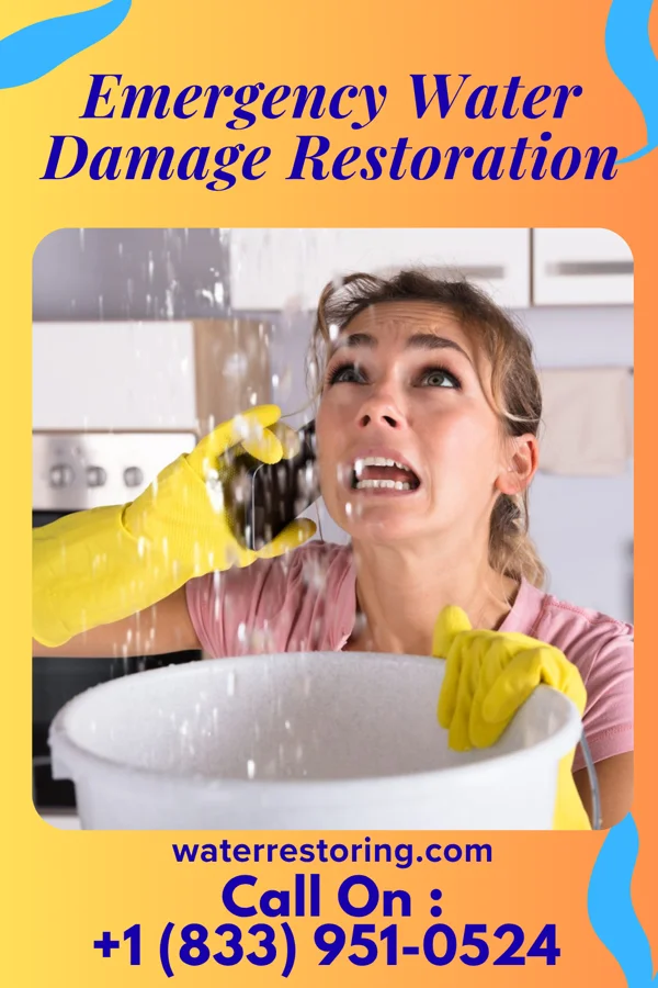 Emergency Water Damage Restoration in Arlington Heights, PA