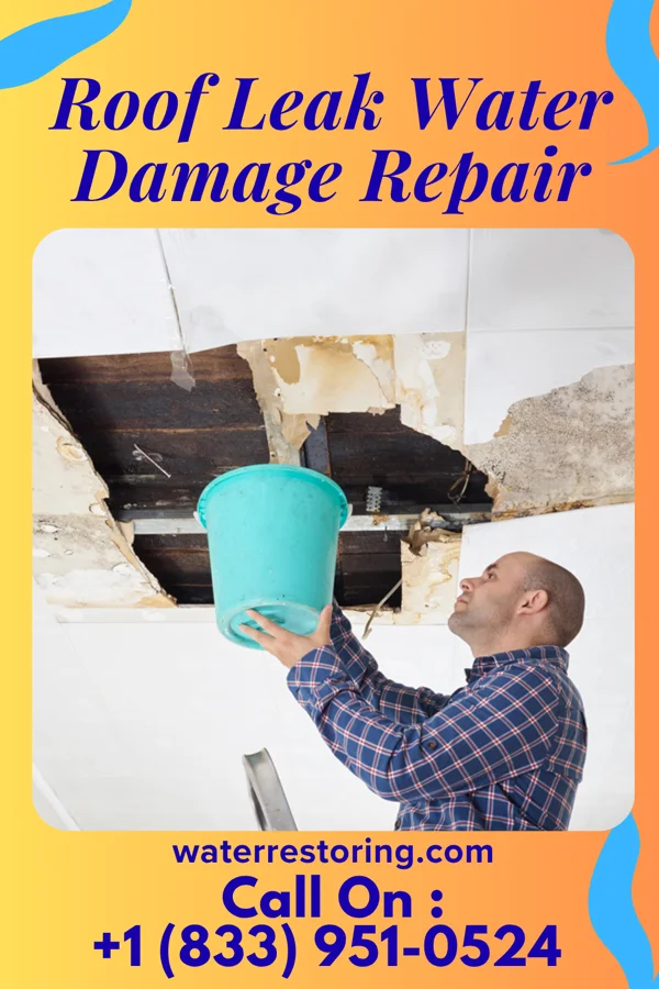 Roof Leak Water Damage Repair in Arlington Heights, PA