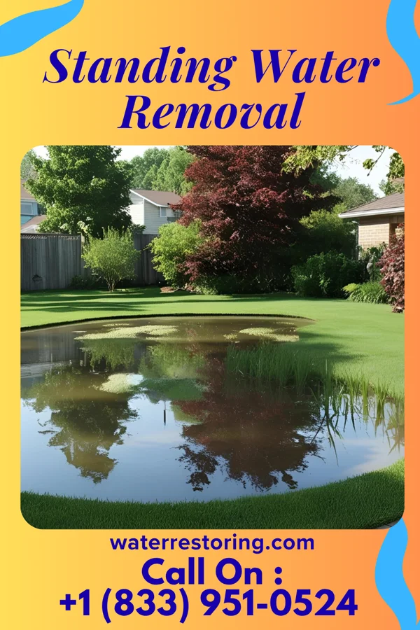 Standing Water Removal in Arlington Heights, PA
